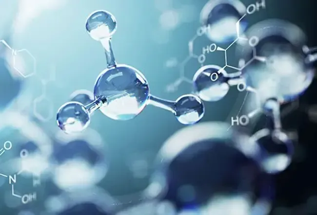 Хранене и здравословно хранене: Всичко за антиоксидантите