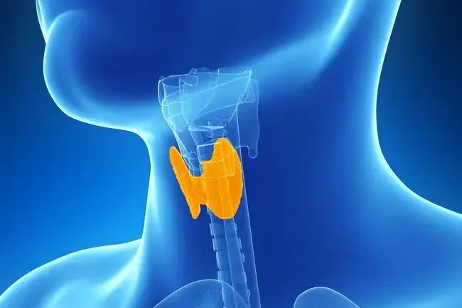 Gewichtsmanagement: Erkrankungen, die Gewichtszunahme verursachen können