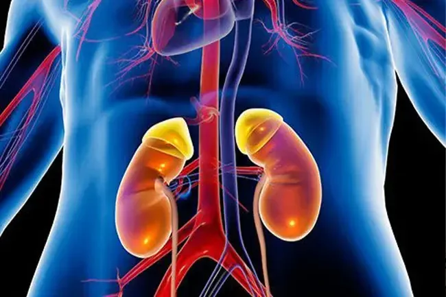 Cancro renale: sintomi, fasi e trattamento