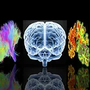 Image Collection Home - RxList