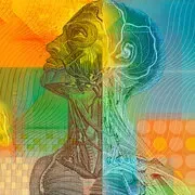 Image Collection Home - RxList