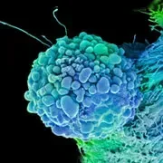 Image Collection Home - RxList