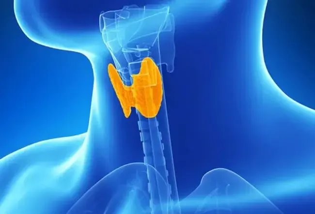 A sluggish thyroid may make you feel itchy. 