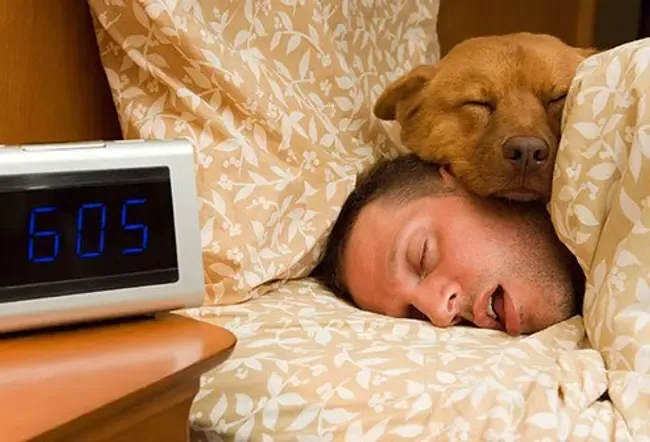 Spánkový cyklus: Co se stane, když spíte