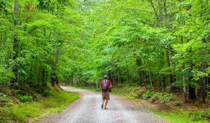 Um homem caminha por uma trilha arborizada no Umstead State Park, em Raleigh, Carolina do Norte