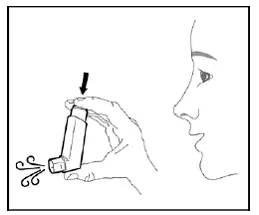 Press down firmly on the center of the dose indicator until the canister stops moving in the actuator to release a puff of medicine from the mouthpiece - Illustration