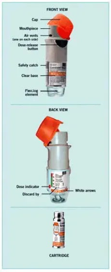 The COMBIVENT RESPIMAT inhaler - Illustration