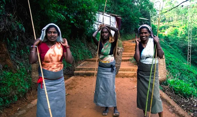 Trois femmes locales posant pour une photo alors qu'elles travaillent près de la jungle