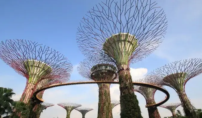 ה-Supertrees האדירים ב- Gardens by the Bay בסינגפור