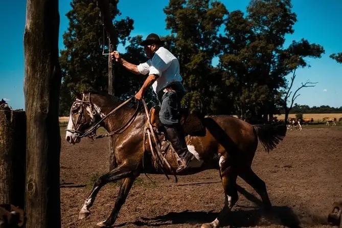 Soyez un Gaucho pour la journée