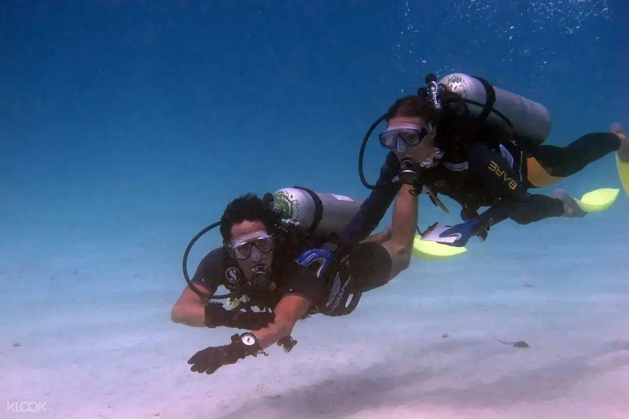 Beach Champion dobijte svoj PADI certifikat