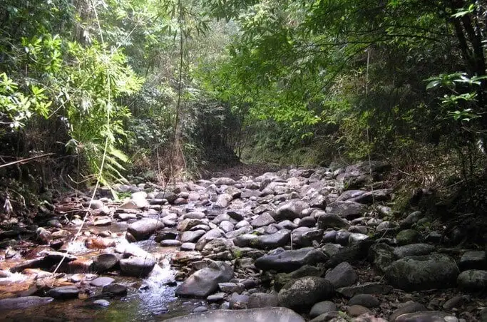 Parque Nacional Bach Ma