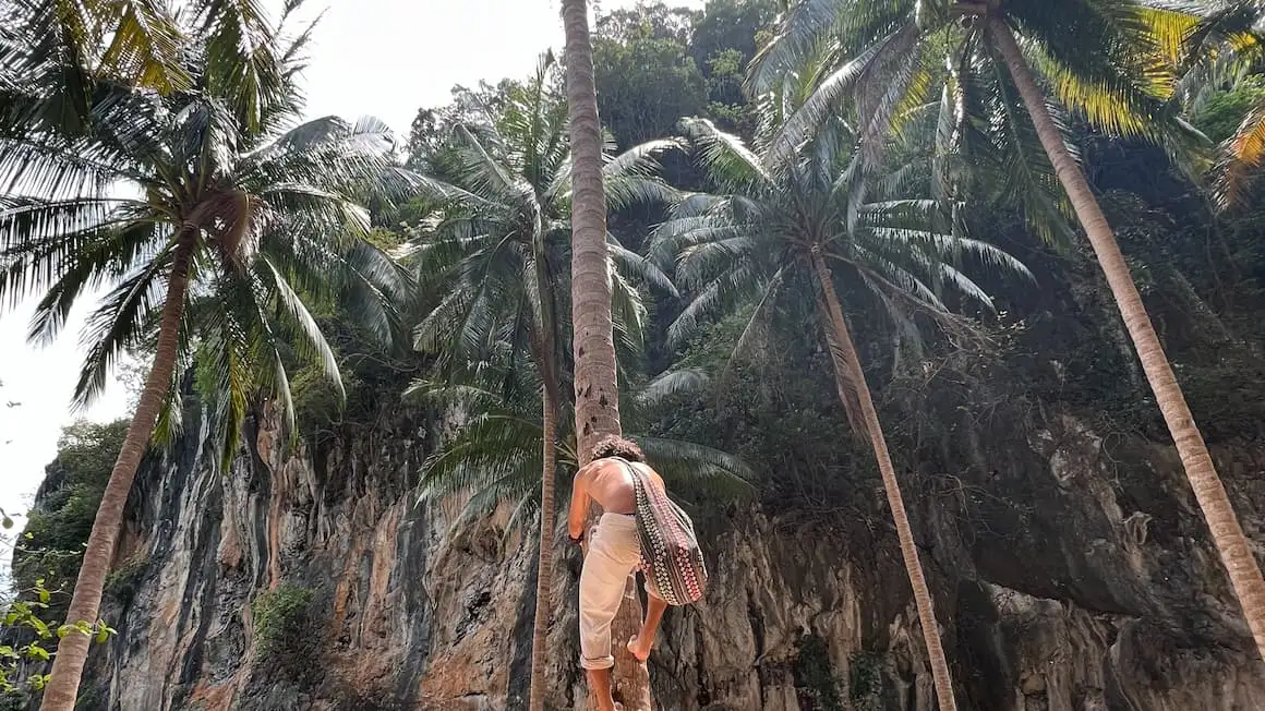 Estúdio acolhedor com piscina privada