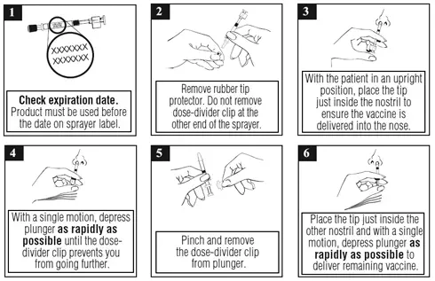 Step-by-step administration instructions - Illustration