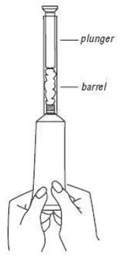 Squeeze the gel out of tube and into the applicator - Illustration