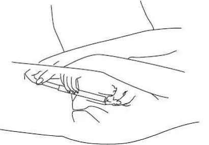 Gently insert into your vagina - Illustration